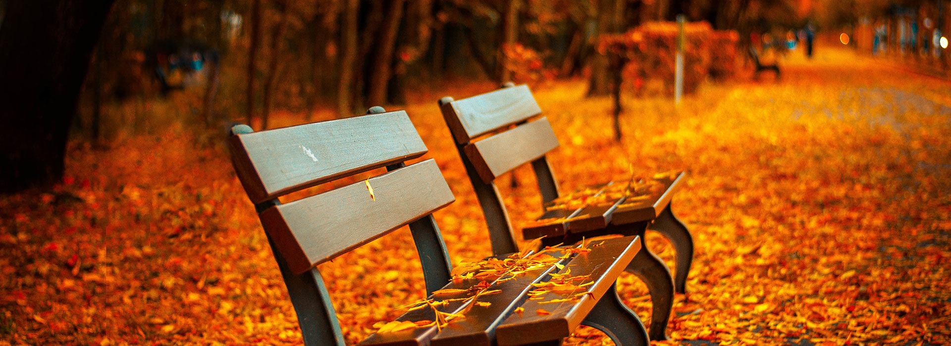 Banner fall benches